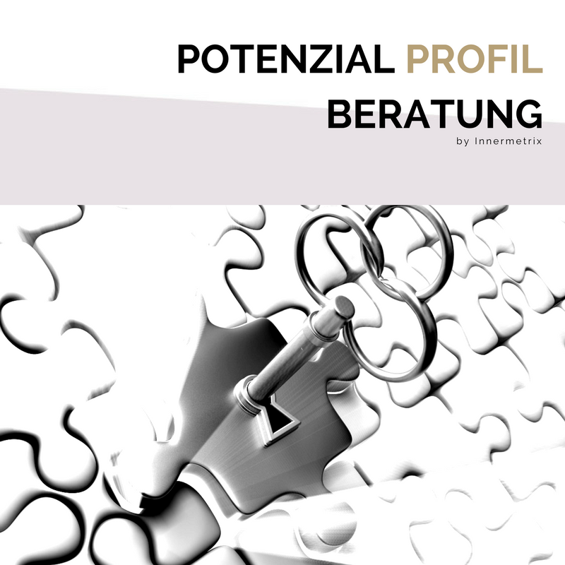 Potenzial Profil Beratung by Innermetrix ANTJE MENZEL WIRKUNGSVOLLE